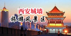 轮流插进去的视频中国陕西-西安城墙旅游风景区
